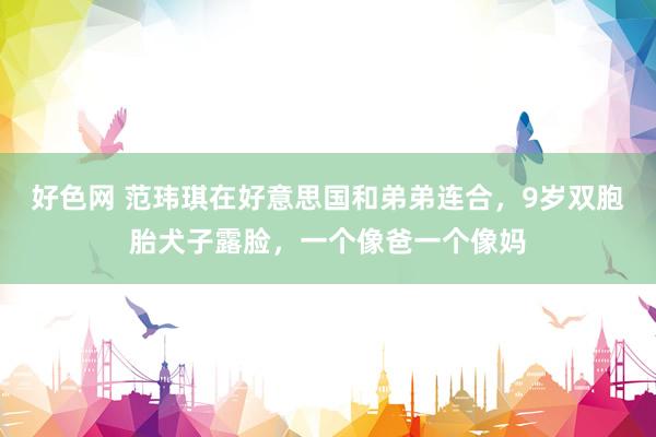 好色网 范玮琪在好意思国和弟弟连合，9岁双胞胎犬子露脸，一个像爸一个像妈