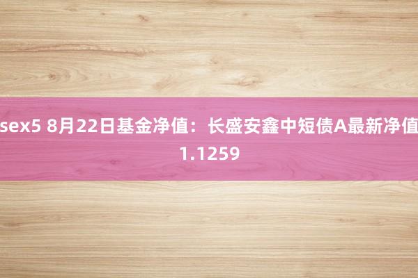 sex5 8月22日基金净值：长盛安鑫中短债A最新净值1.1259