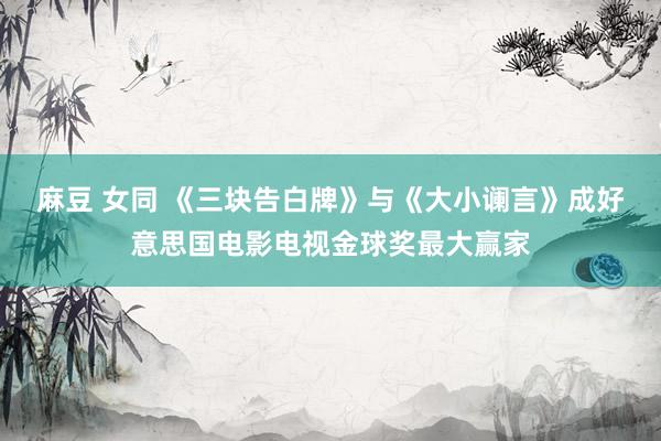 麻豆 女同 《三块告白牌》与《大小谰言》成好意思国电影电视金球奖最大赢家