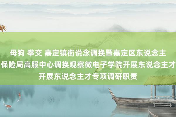 母狗 拳交 嘉定镇街说念调换暨嘉定区东说念主力资源和社会保险局高服中心调换观察微电子学院开展东说念主才专项调研职责