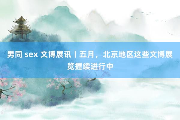 男同 sex 文博展讯丨五月，北京地区这些文博展览握续进行中