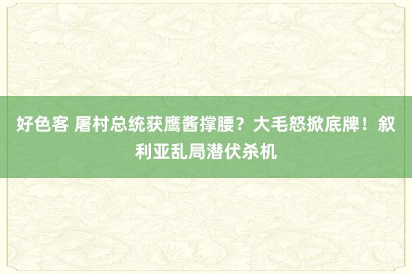 好色客 屠村总统获鹰酱撑腰？大毛怒掀底牌！叙利亚乱局潜伏杀机