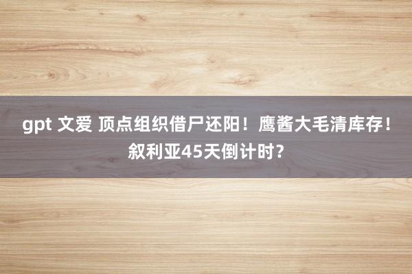 gpt 文爱 顶点组织借尸还阳！鹰酱大毛清库存！叙利亚45天倒计时？