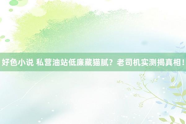 好色小说 私营油站低廉藏猫腻？老司机实测揭真相！