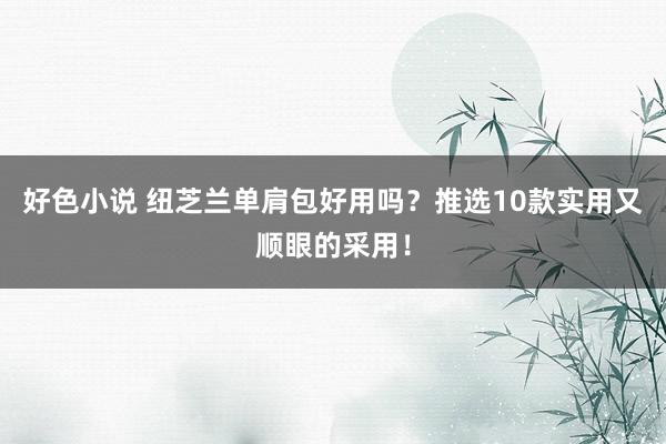 好色小说 纽芝兰单肩包好用吗？推选10款实用又顺眼的采用！