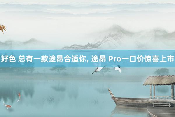 好色 总有一款途昂合适你， 途昂 Pro一口价惊喜上市