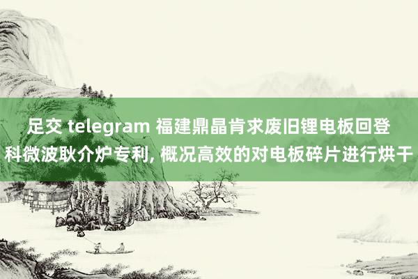 足交 telegram 福建鼎晶肯求废旧锂电板回登科微波耿介炉专利， 概况高效的对电板碎片进行烘干