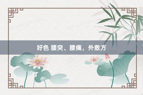 好色 腰突、腰痛，外敷方
