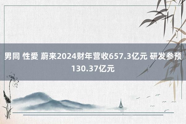 男同 性愛 蔚来2024财年营收657.3亿元 研发参预130.37亿元